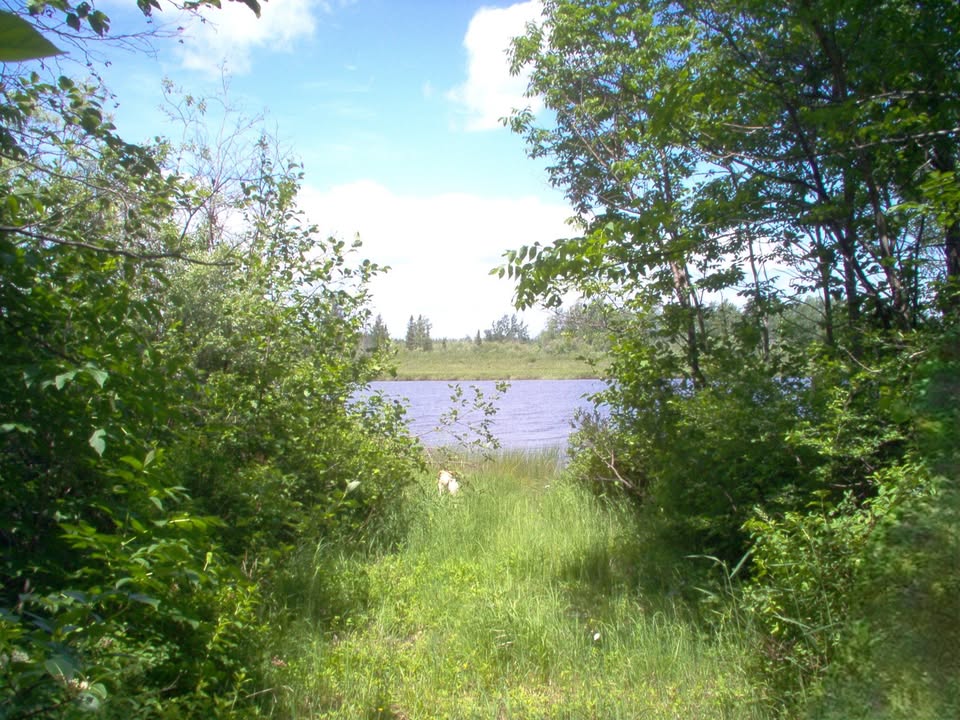 Terrain Résidentiel : 22,5 Acres | Rivière Pascalis + Tiblemont