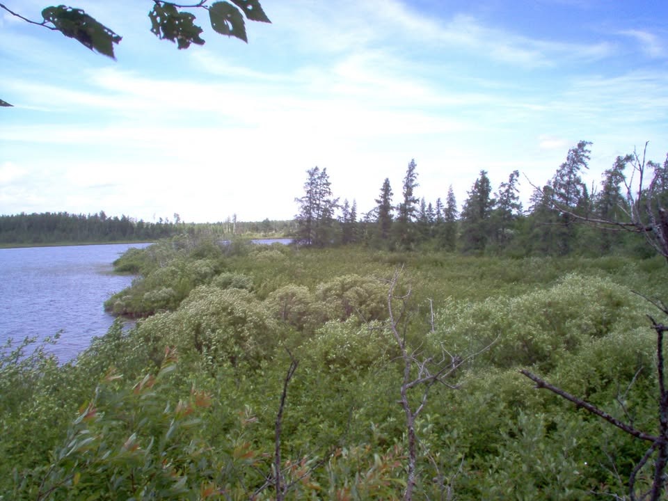 Terrain Résidentiel : 11,8 Acres / Rivière Pascalis
