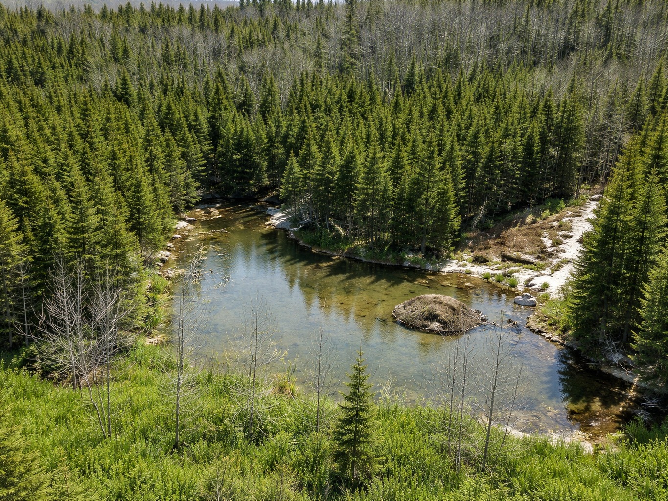 Terre à Bois: 23.4 Acres / Saint Vital de Clermont