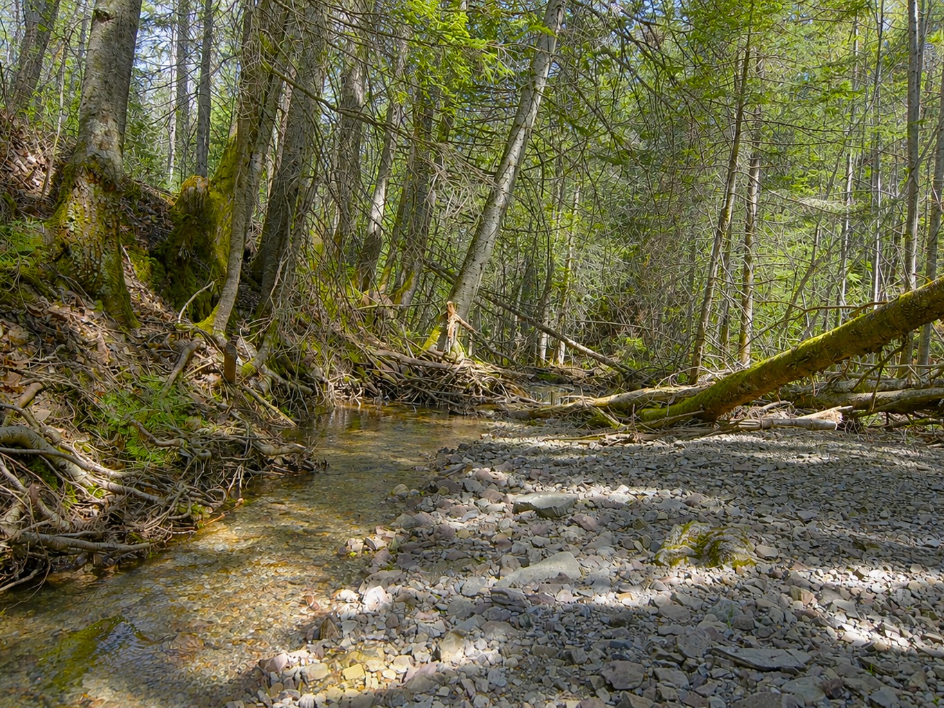 1. Terrain Résidentiel: 1.66 Acres / Ruisseau Aspirot