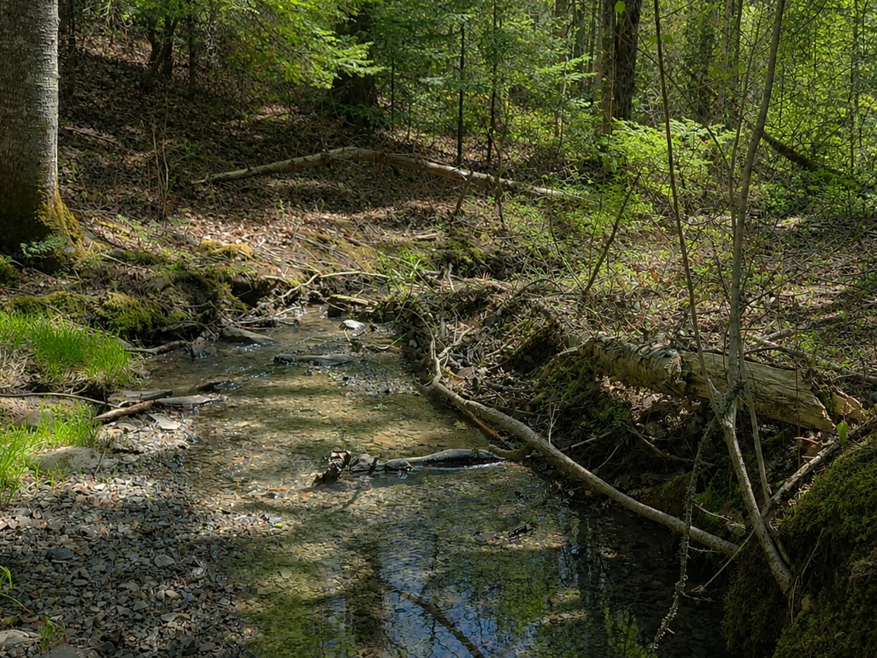 6. Terrain Résidentiel: 1.18 Acres / Ruisseau Aspirot