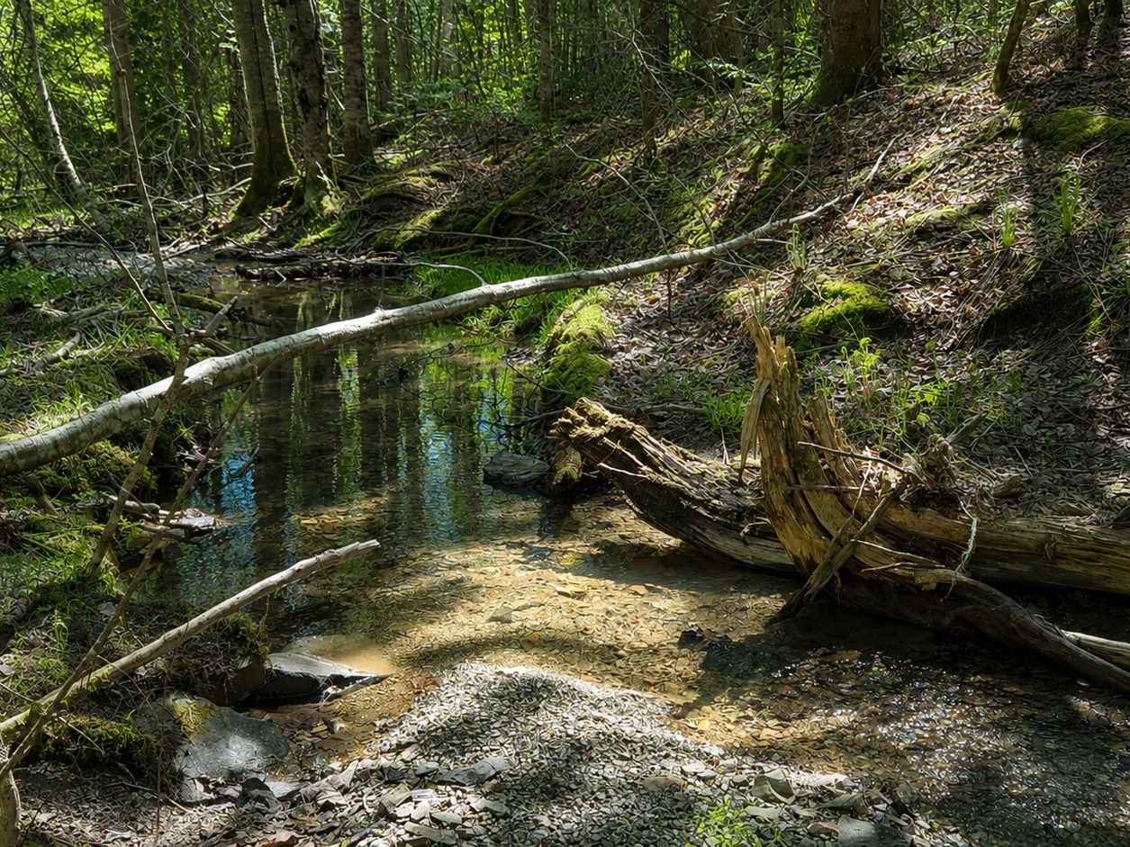 4. Terrain Résidentiel: 1.85 Acres / Ruisseau Aspirot